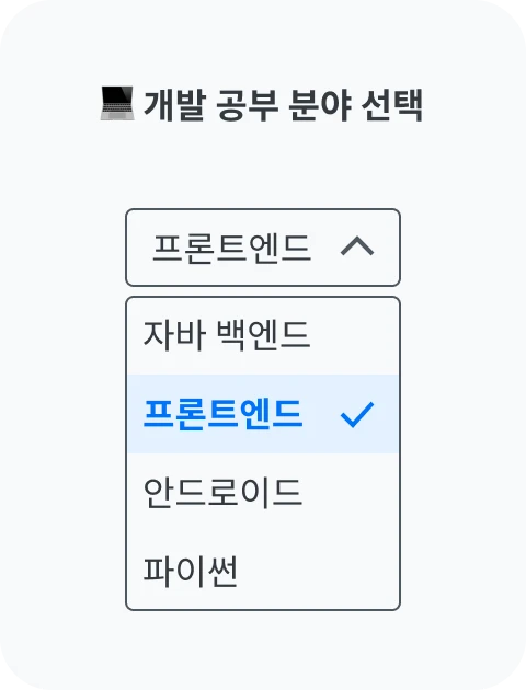 내가 공부하고 싶은 개발 분야도 선택 가능해요
